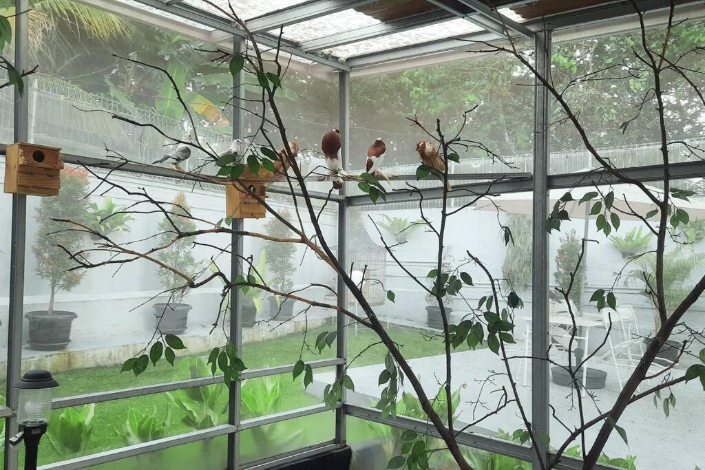 Garden Villa By Villapedia Bogor Exterior photo